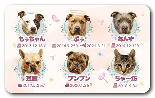 長方形ペット名刺の表面画像