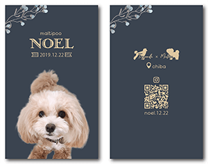 犬のペット名刺