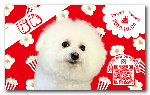 ペット名刺の表面画像