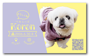 犬のペット名刺