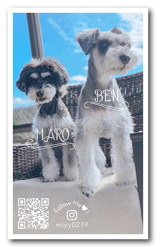 長方形ペット名刺の表面画像