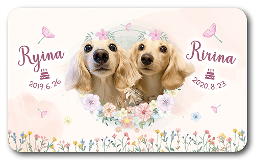 ペット名刺の表面画像