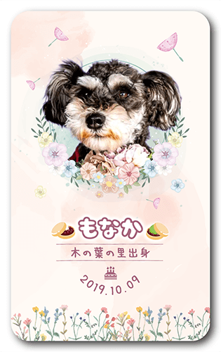 長方形ペット名刺の表面画像