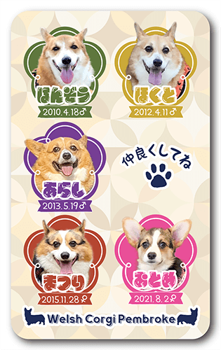 長方形ペット名刺の表面画像