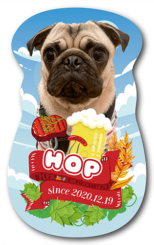 型抜きペット名刺の表面画像