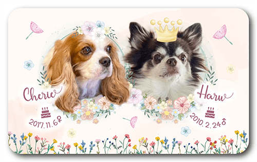 長方形ペット名刺の表面画像