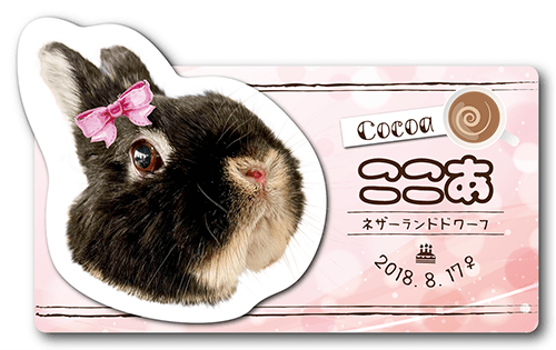 型抜きペット名刺の表面画像