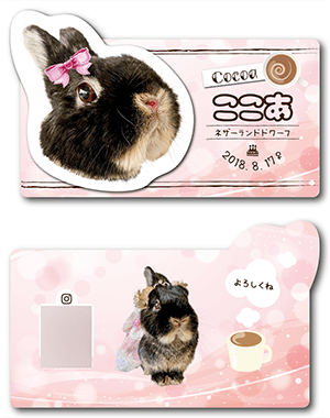 犬（多頭飼い）のペット名刺