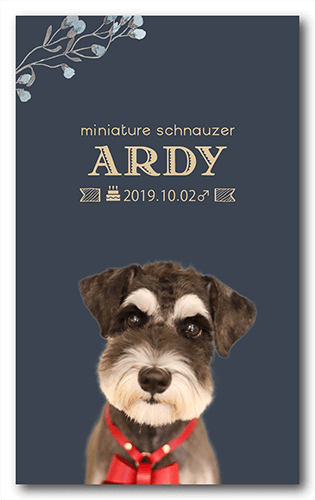 ペット名刺の表面画像