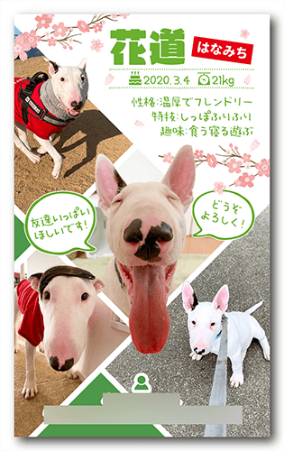 長方形ペット名刺画像