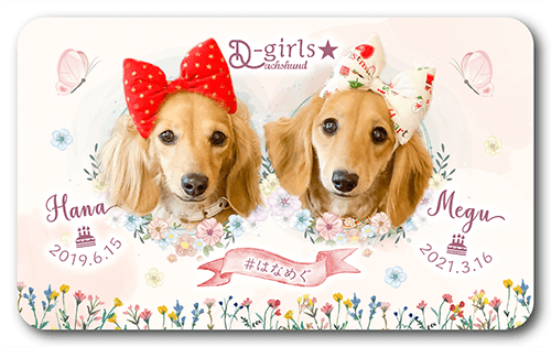 長方形ペット名刺の表面画像