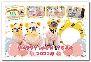 犬のペット年賀状
