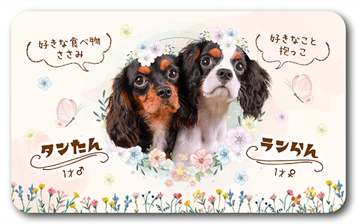 長方形ペット名刺の表面画像