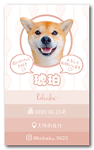 うさぎのペット名刺