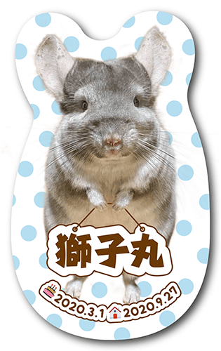 型抜きペット名刺の表面画像