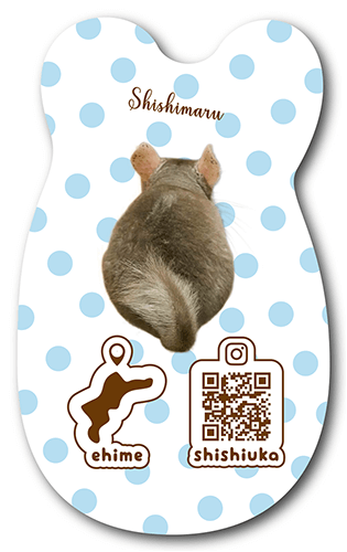 型抜きペット名刺の裏面画像