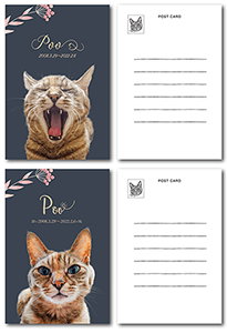 猫のポストカード