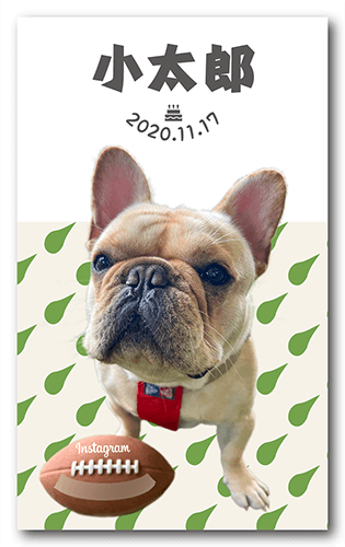 長方形ペット名刺画像
