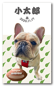 犬のペット名刺