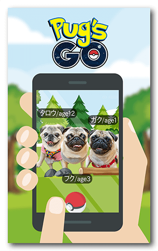 長方形ペット名刺の表面画像