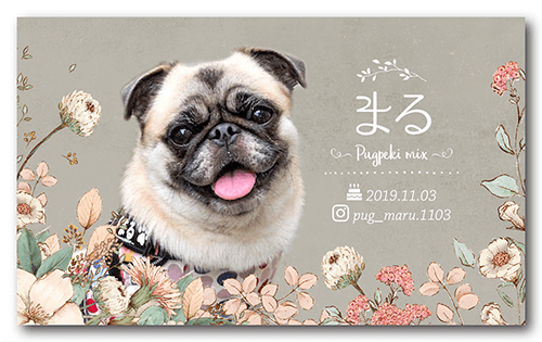 犬の長方形ペット名刺画像