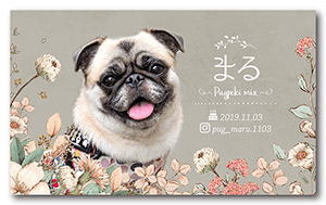 犬（多頭飼い）のペット名刺