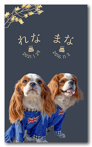 ペット名刺の表面画像