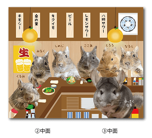 2つ折り型抜きペット名刺の中面画像