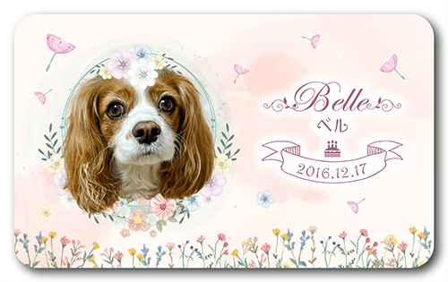 長方形ペット名刺の表面画像