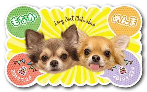 型抜きペット名刺の表面画像