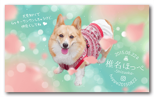犬の長方形ペット名刺画像