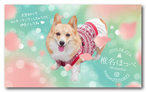犬のペット名刺
