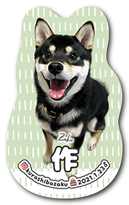 犬のペット名刺