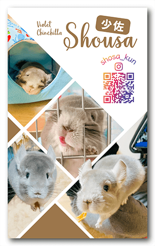 長方形ペット名刺画像