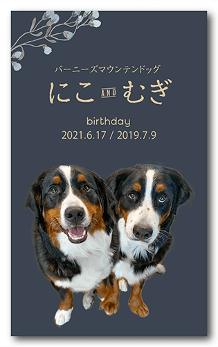 ペット名刺の表面画像