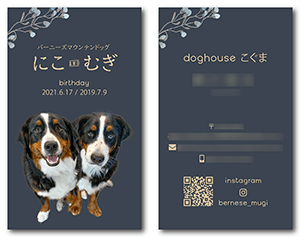 犬のペット名刺