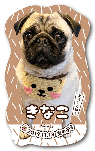 型抜きペット名刺の表面画像