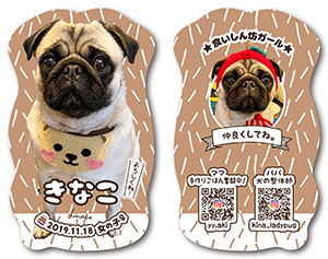 犬のペット名刺