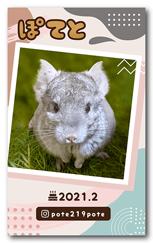 ペット名刺画像