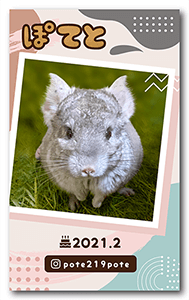 犬のペット名刺