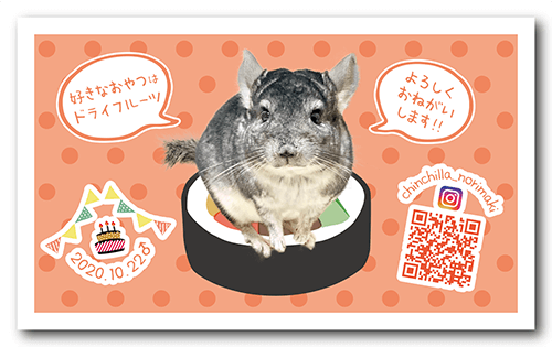 長方形ペット名刺の裏面画像
