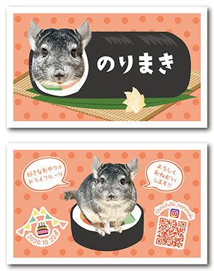 うさぎのペット名刺