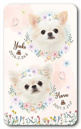 長方形ペット名刺の表面画像