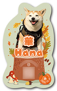 犬のペット名刺