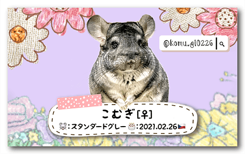 長方形ペット名刺の表面画像