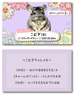 チンチラのペット名刺