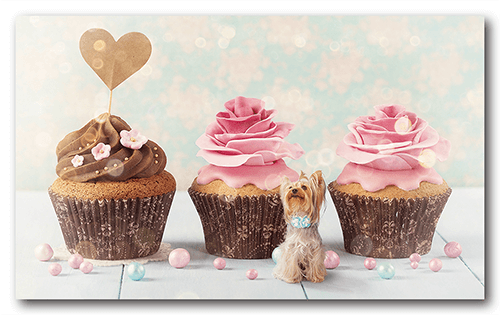 ペット名刺の表面画像