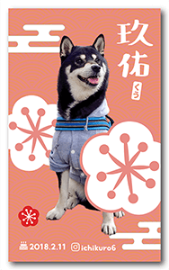 犬のペット名刺