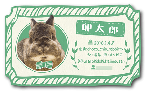 型抜きペット名刺画像