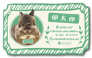 うさぎのペット名刺
